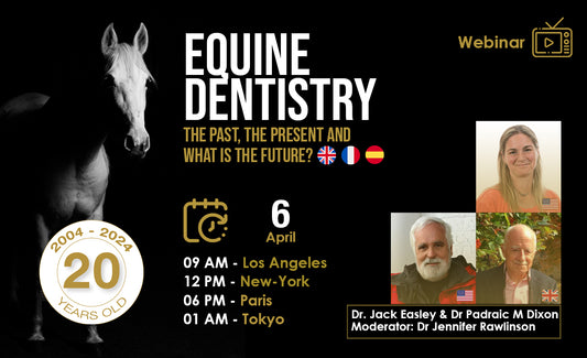 Equine Dentistry: the past, the present and what is the future?