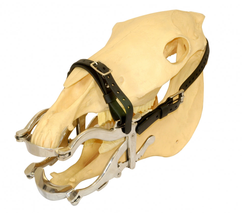 Speculum Standard (without plates)