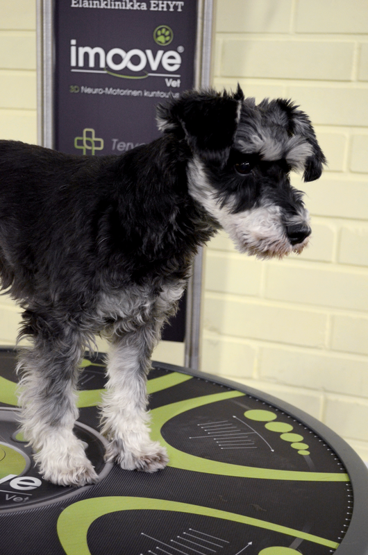 Allcare Innovations - imoove vet