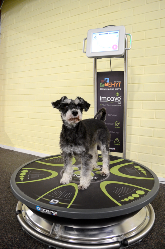 Allcare Innovations - imoove vet