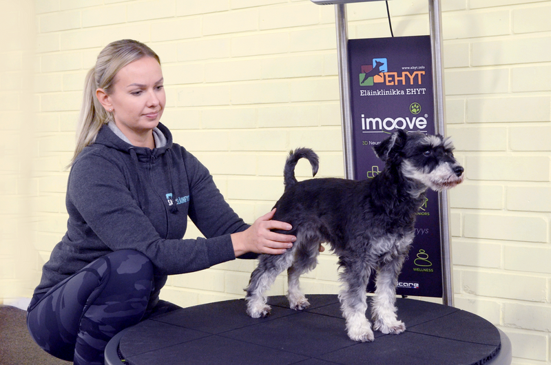 Allcare Innovations - imoove vet