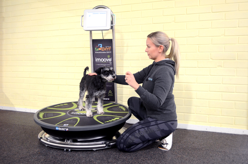 Allcare Innovations - imoove vet