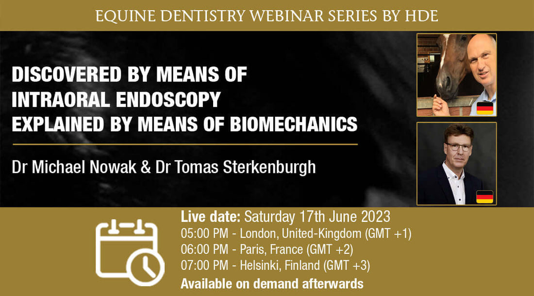 Discovered by Means of Intraoral Endoscopy - Explained by Means of Biomechanics -webinaari
