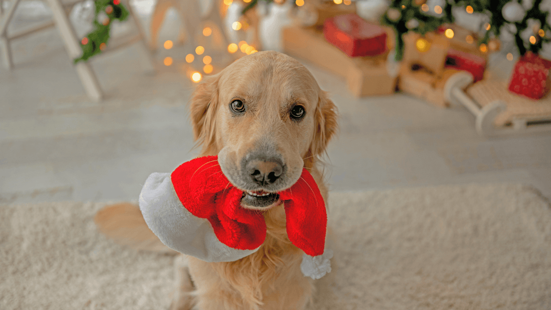 Iloista joulunaikaa ja kiitokset antoisasta vuodesta!