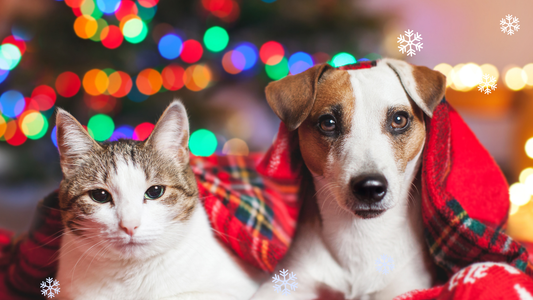 Iloista joulunaikaa ja kiitokset antoisasta vuodesta 2025!