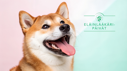 Eläinlääkäripäivät 2025: Tapaa Vetman ja löydä ratkaisuja arjen työhön!