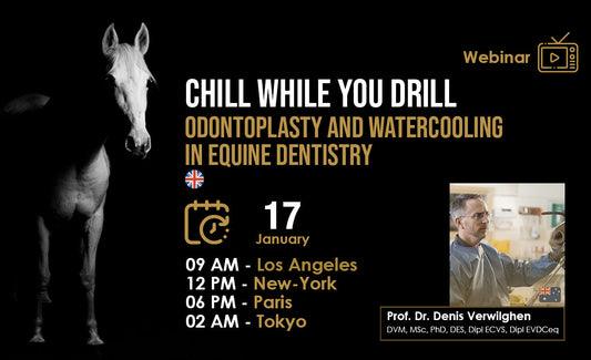 17.1.2026 HDE webinaari: Chill while you drill, odontoplasty and watercooling in equine dentistry