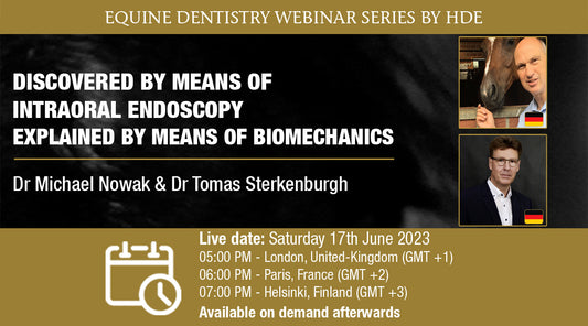 Discovered by Means of Intraoral Endoscopy - Explained by Means of Biomechanics -webinaari