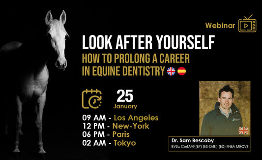 Look after yourself: How to prolong career in equine dentistry