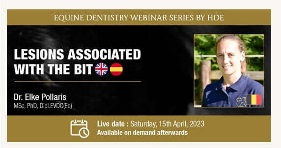 HDE järjestää webinaarin:  "Lesions Associated with the Bit" 15.4.2023