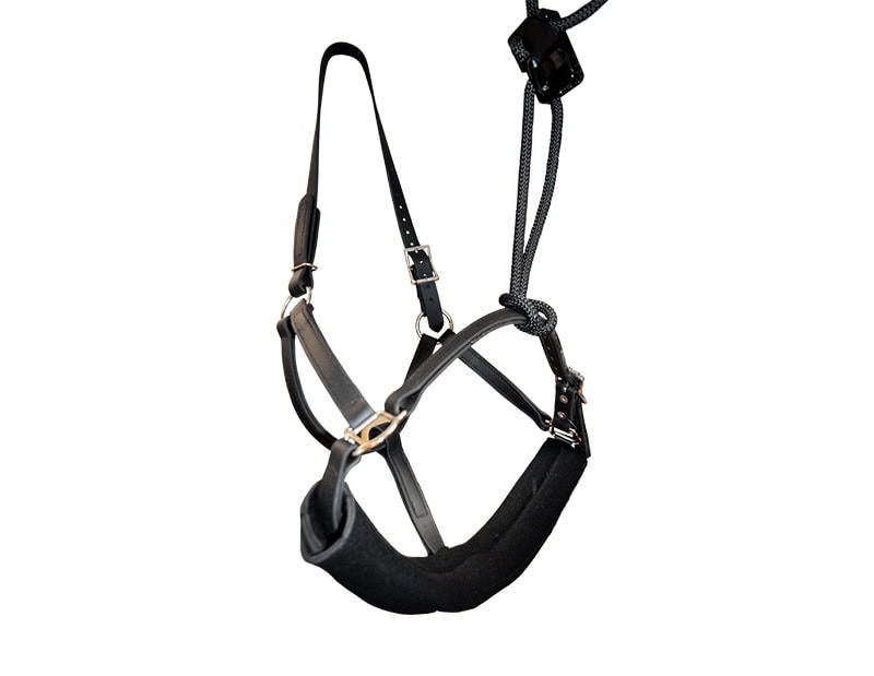 HDE Dental Halter