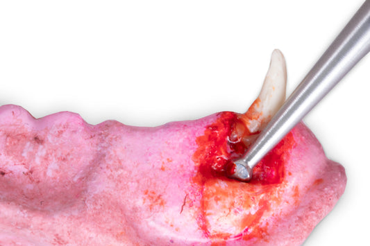 Dentanomic Periosteal kärjet