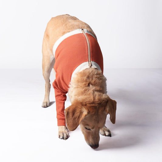 Luna & Milo | Copper Body etujaloille