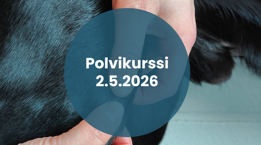 Polvikurssi 2.5.2026 (ilmoittautuminen avautuu 25.2.)