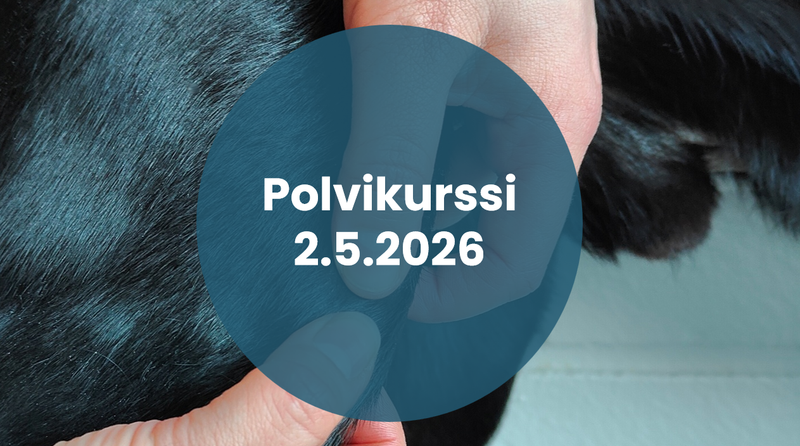 Polvikurssi 2.5.2026 (ilmoittautuminen avautuu 25.2.)