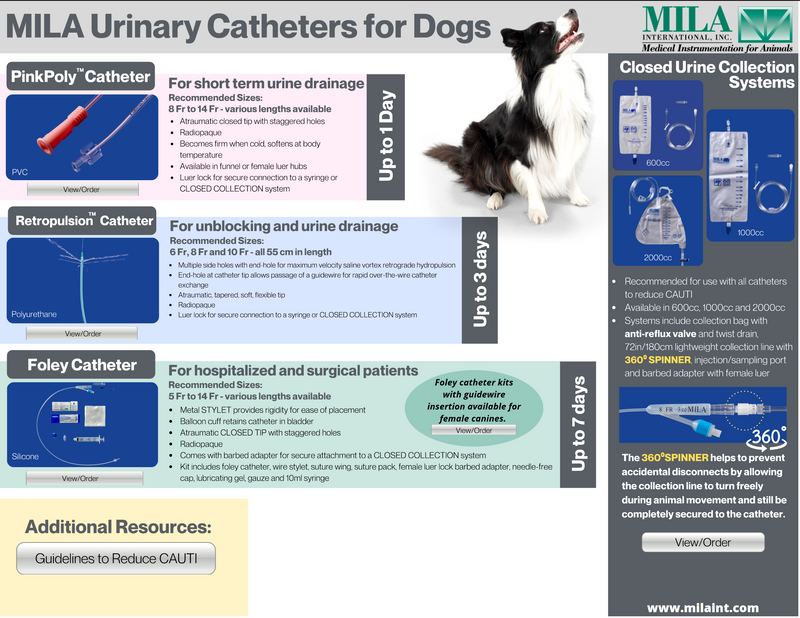 PinkPoly Economy Catheters