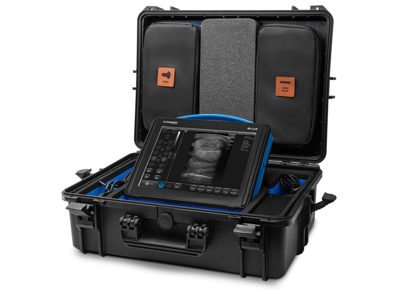 DRAMIŃSKI BLUE ultraäänitutkimuslaite | ilman antureita