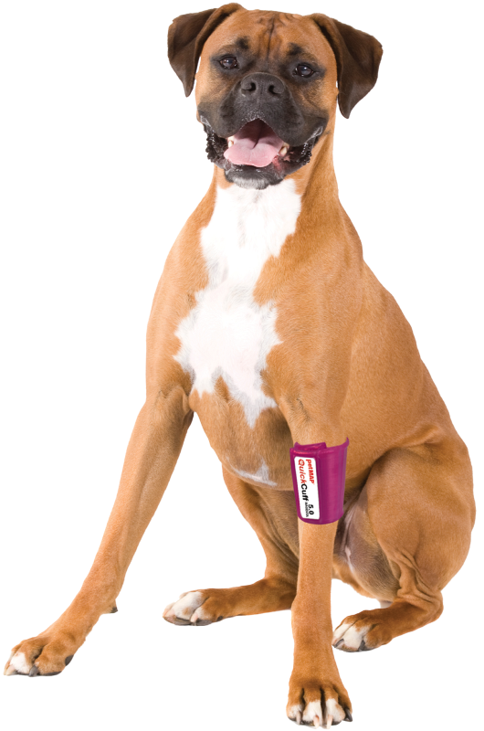 QuickCuff | Innovatiiviset verenpainemansetit