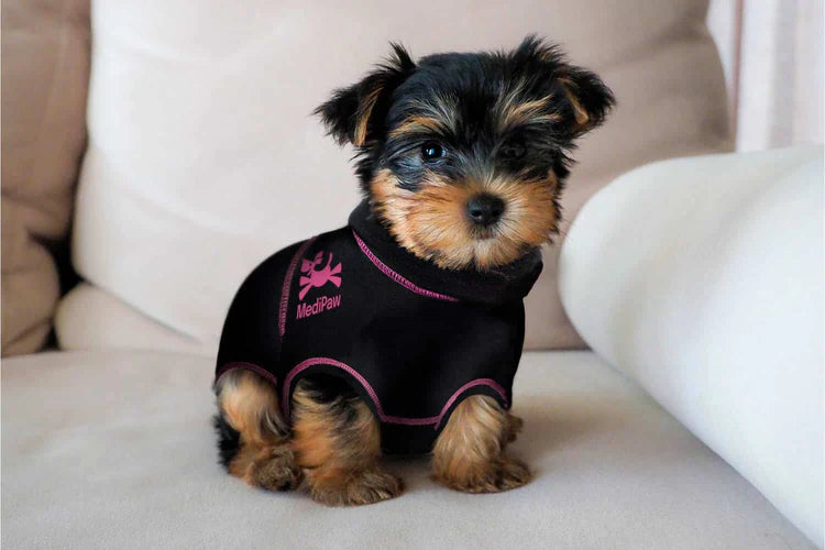 Medipaw Suit Dog, koko XS