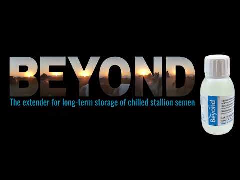 Beyond® Equine semen extender, 100ml