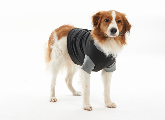 Buster Body Suit Classic for dogs, Black/Grey | eri kokoja