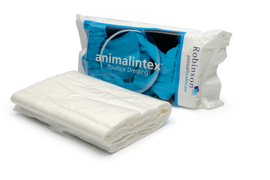 Animalintex Dressing - Export, 10 kpl