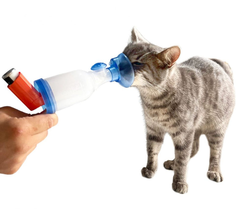 AnimHal Cat - inhalaattori, 1kpl