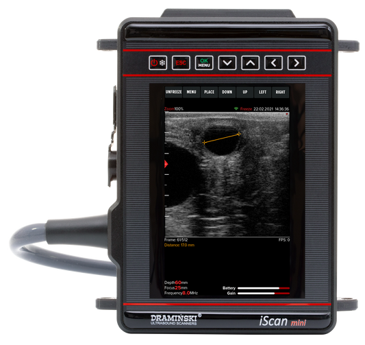 DRAMIŃSKI iScan mini ultraäänitutkimuslaite (lineaari rektaali)